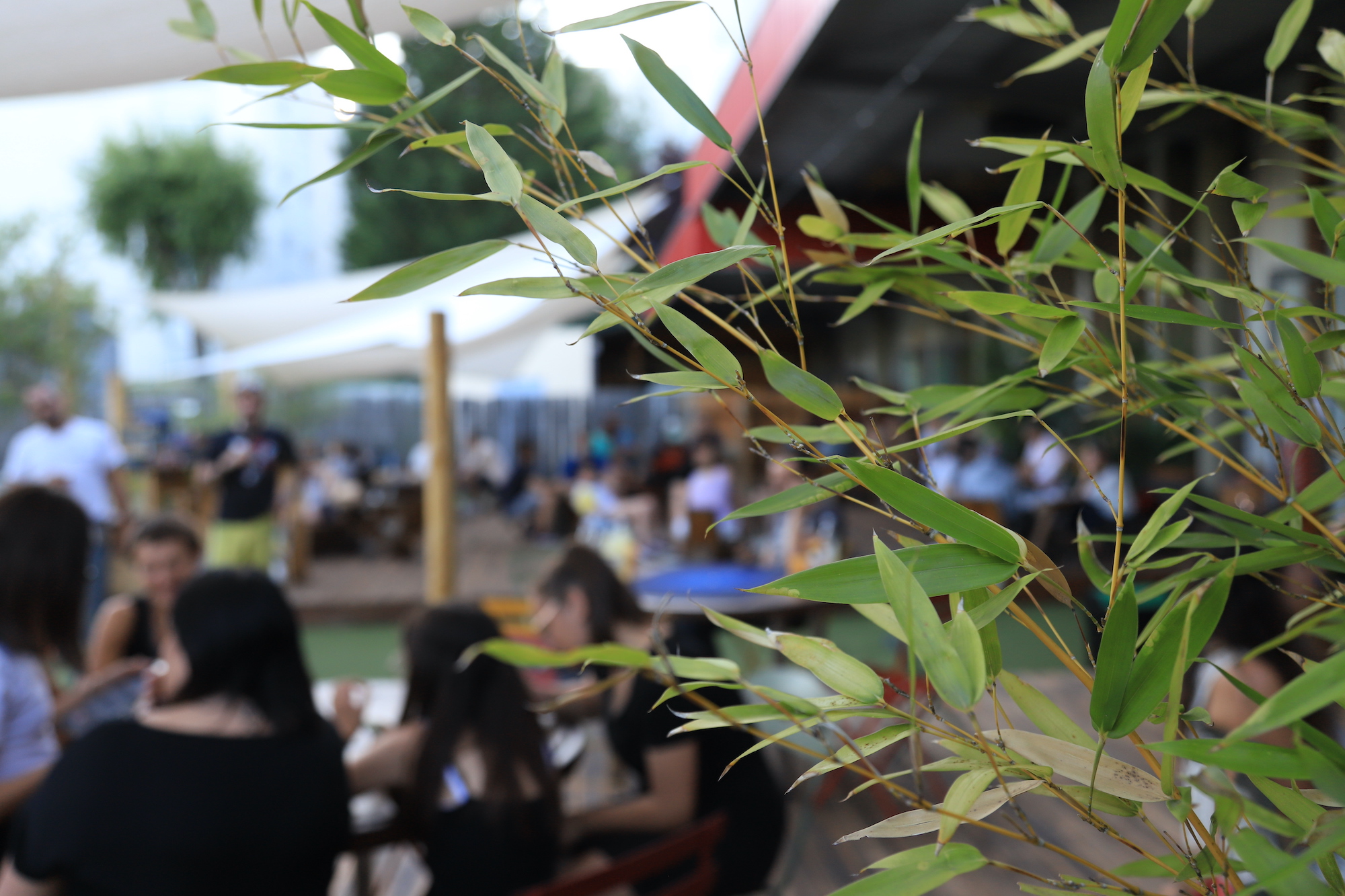 soiree-jeux-foodtruck-mâcon-férié-jour-stage-vacances-Après-midi-petit budget-Jeu de société-Temps de pluie-salade paysanne1-Exposition-Ambiance-fête-Dialogue-route71-soiree-escalade-loisir-famille-destination-vacances-famille-amis-activité-theme-boutique-parc-abonnement-courinterieur-exterieur-spa-vacances-parcours-prestations-decouverte-music-ouverturetouslesjours-art-chausson-escalade-bienetre-enfant-sport-evenements-trampoline-ville-bar-tourisme-saone-loire-snack-charnay-les-macon-referencement-site-partenariat